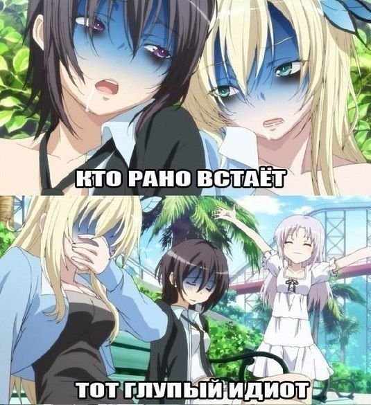 Аниме мемы смешные