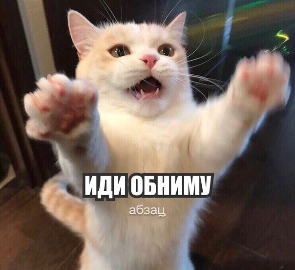 Кот иди обниму
