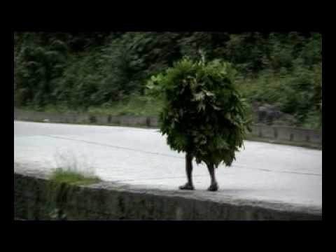 Человек куст