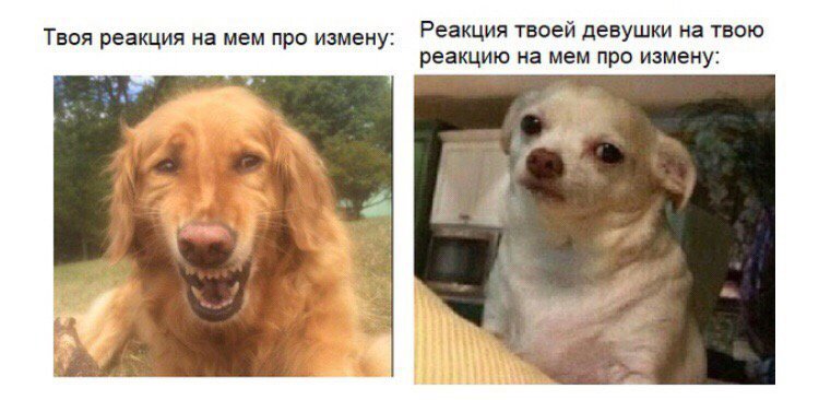 Мемы реакции