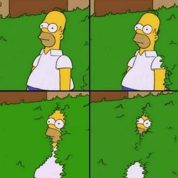 Гомер симпсон исчезает в кустах