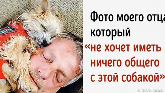 Отец не хочет заводить собаку