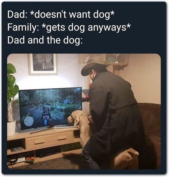 Отец мы не будем заводить собаку Мем