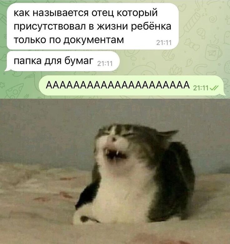 Свежие приколы
