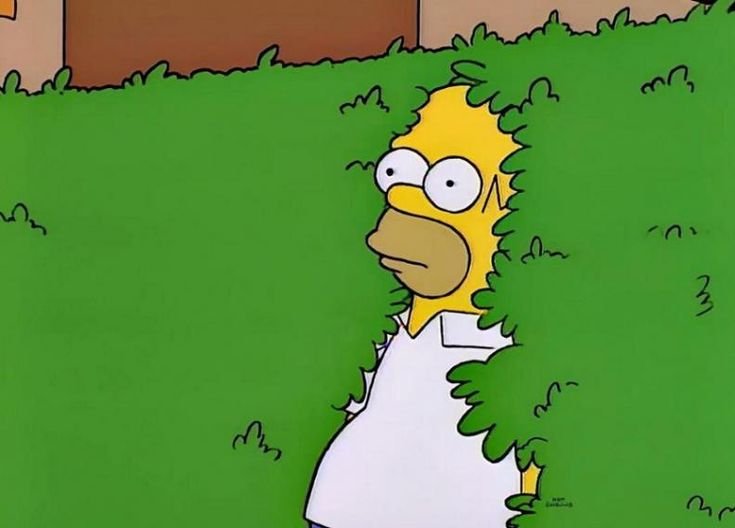 Гомер симпсон уходит в кусты