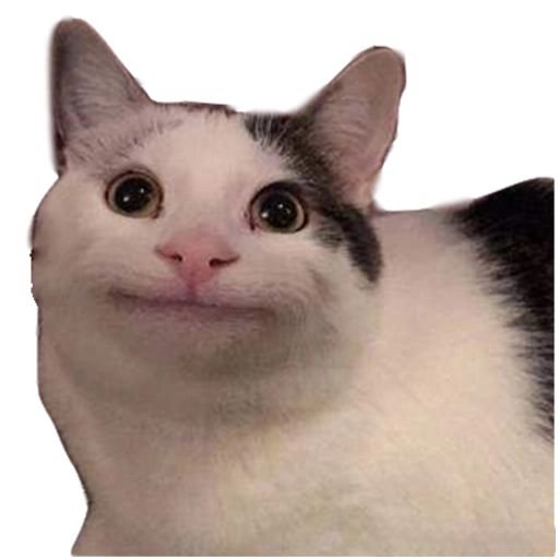 Кот с человеческой улыбкой