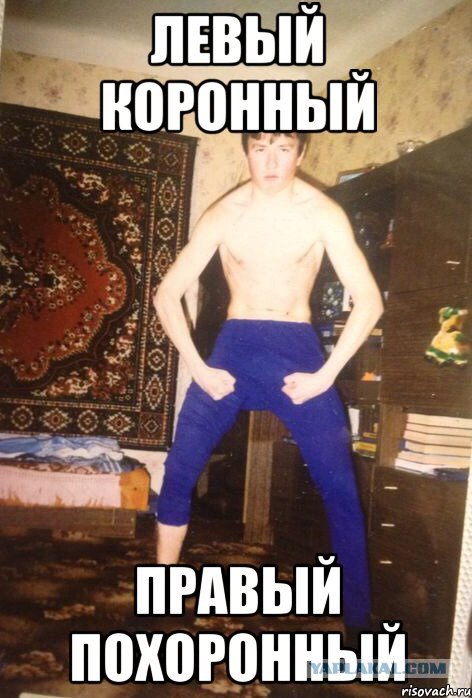 Дикий дерзкий