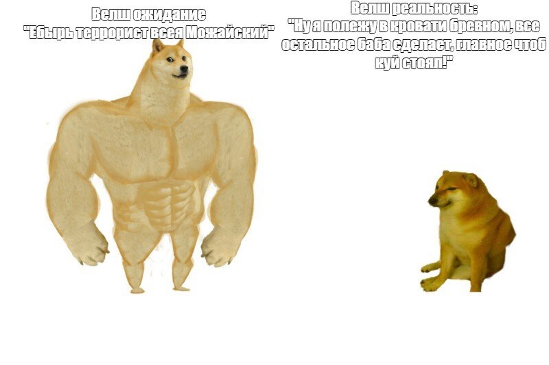 С 2мя собаками