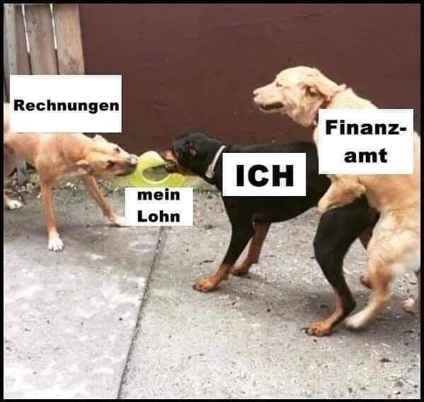 Собаки спариваются