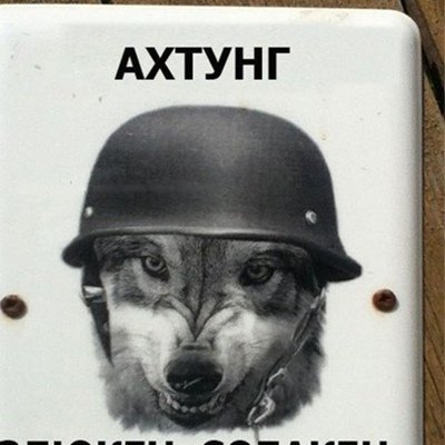 Ахтунг злюкен собакен