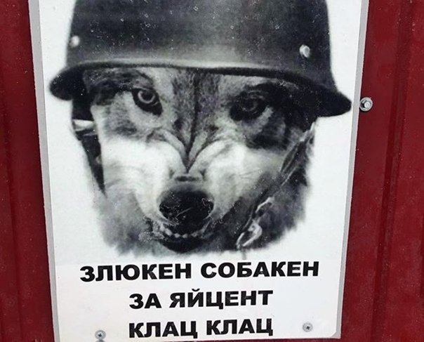 Ахтунг злюкен собакен