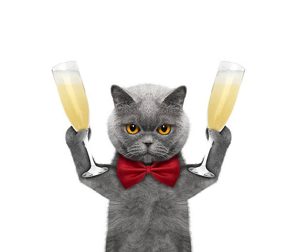 Кот с фужером шампанского