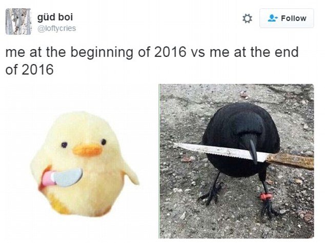 Цыпленок с ножиком