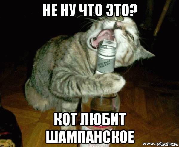 Мемы про шампанское