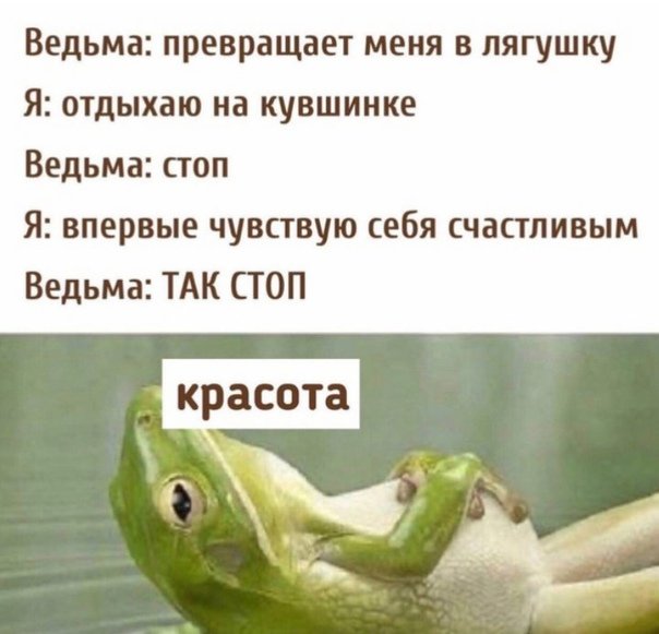 Ведьма превращает меня в лягушку