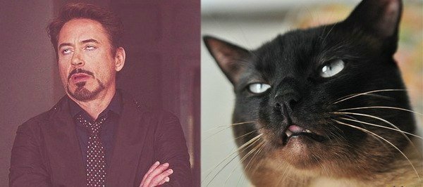 Роберт-Дауни младший с собакой