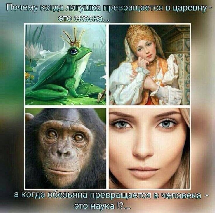 Превратился в лягушку