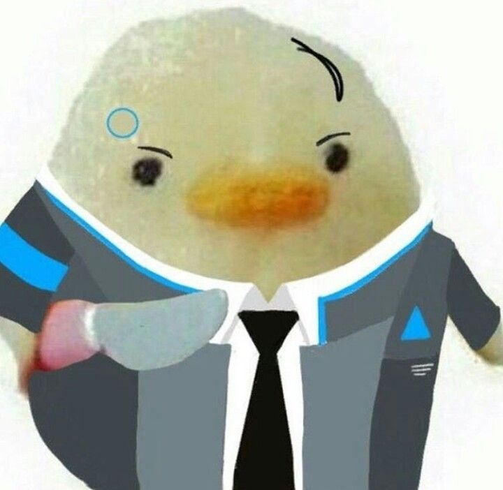 Коннор утка