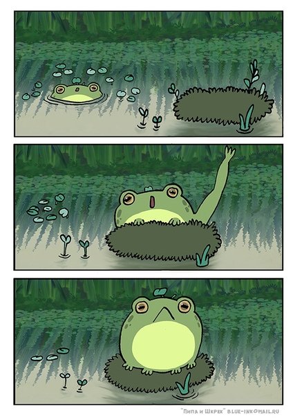 Смешные комиксы про лягушек