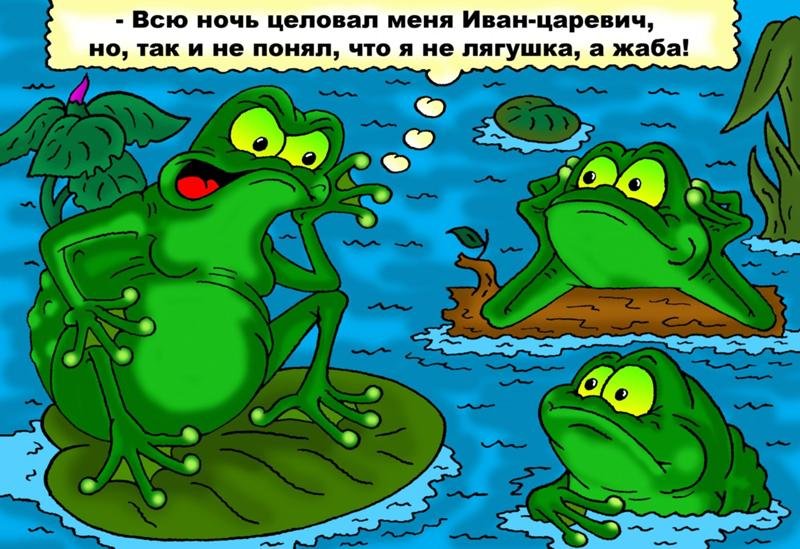 Анекдот про жабу