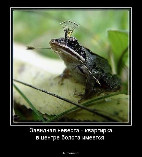 Человек превращается в лягушку