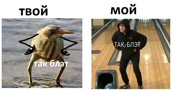 Так блэт птичка Мем