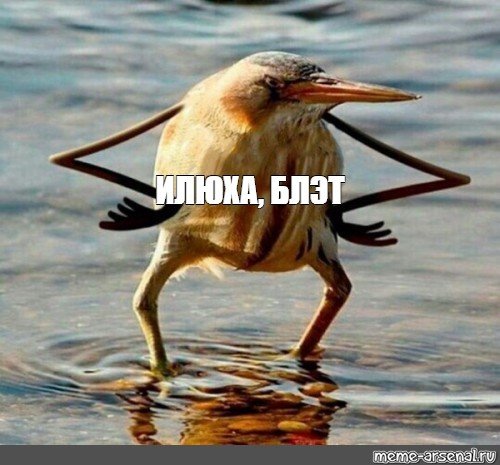 Так блэт с мужиком