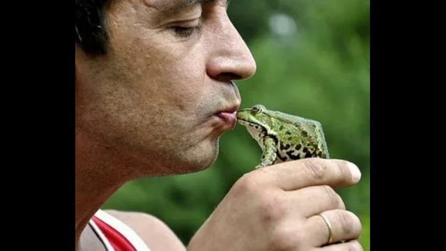 Целует лягушку