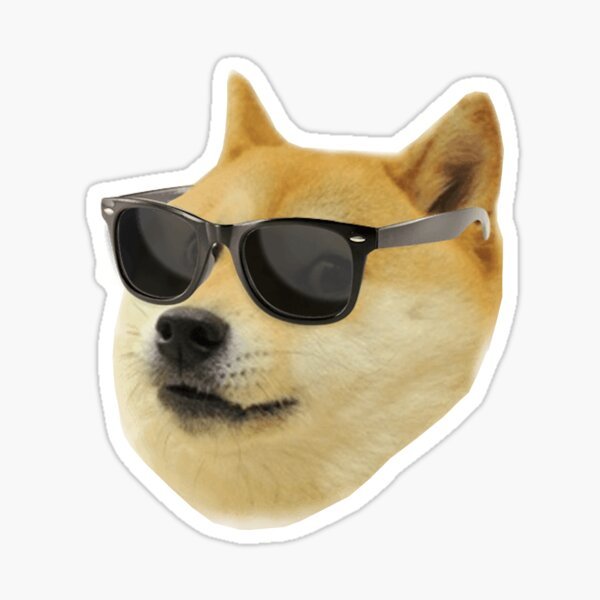 Собака в черных очках