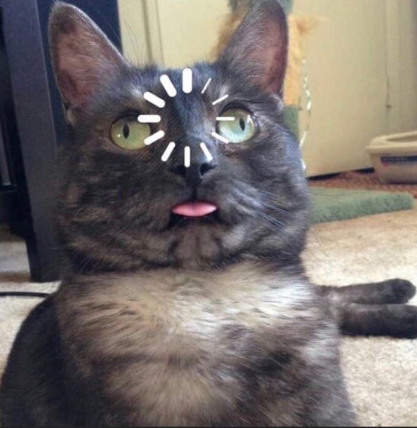 Хорошо Мем кот