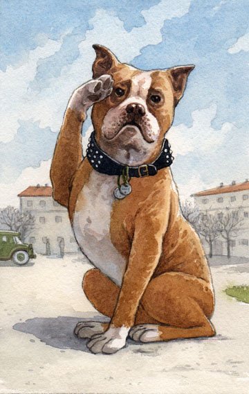 Собака воинское Приветствие