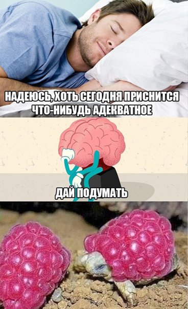 Мозг ночью прикол