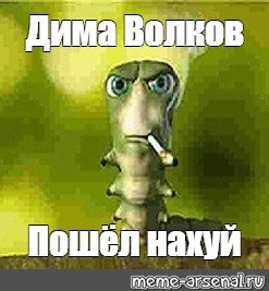 Мемы с гусеницей с сигаретой
