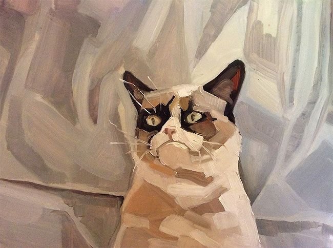 Картина кот