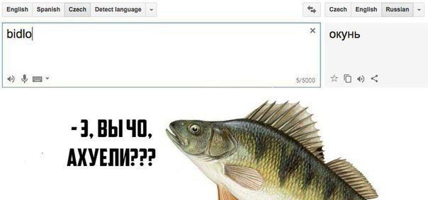 Окунь прикол