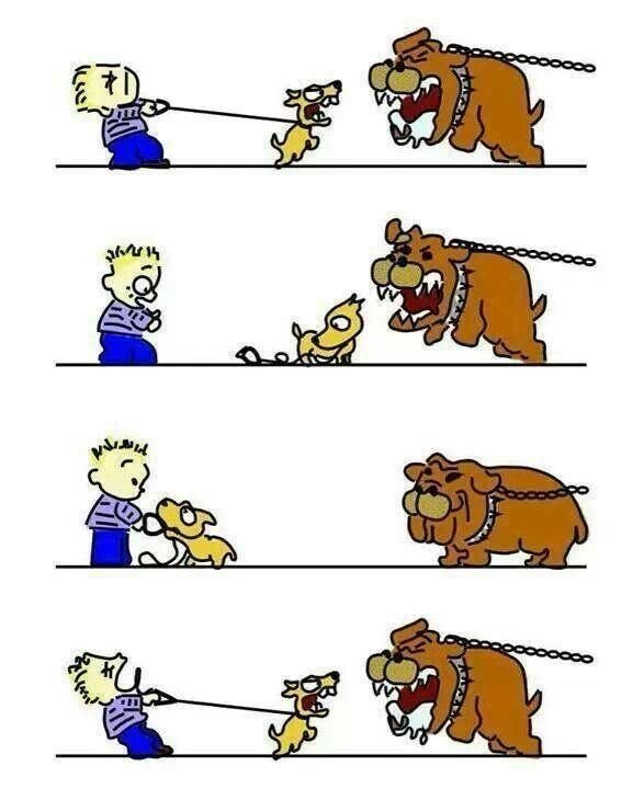 Мемы с собаками