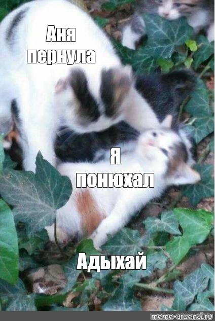 Карантин закончился