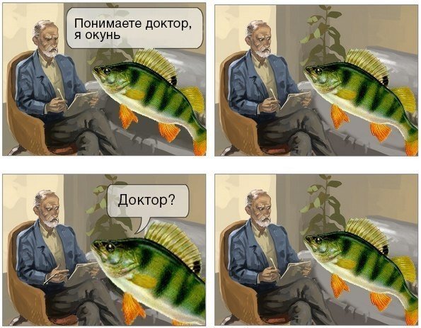 Шутки про окуня