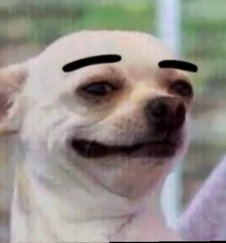 Собака улыбается
