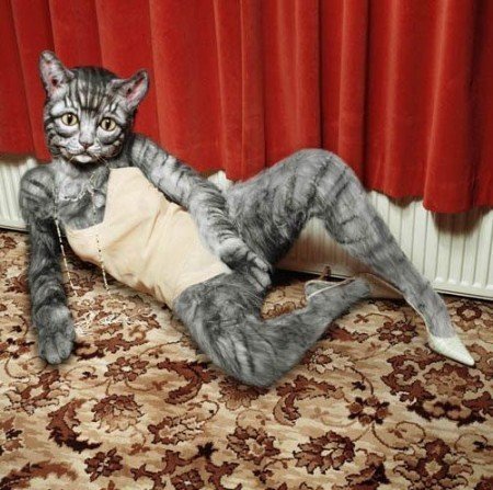 Кот в костюме