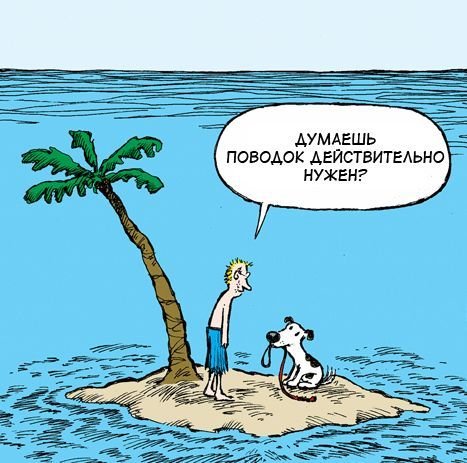 Шутки про остров