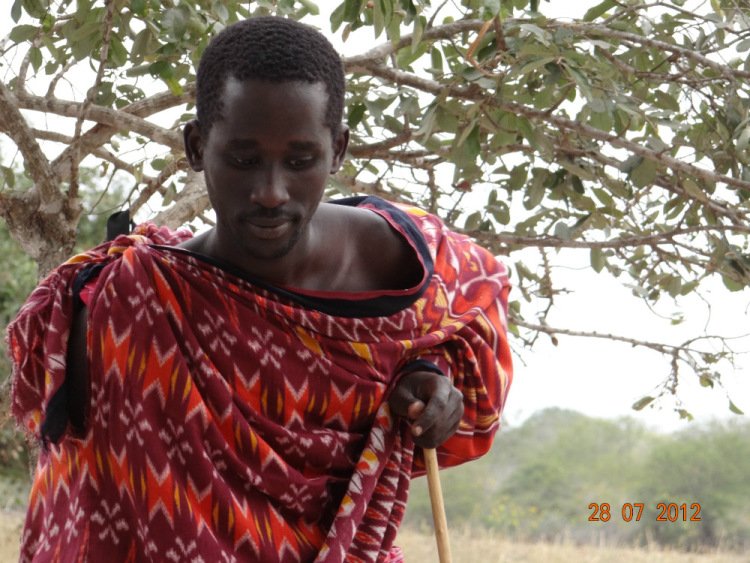 Ай Кью негров Африки