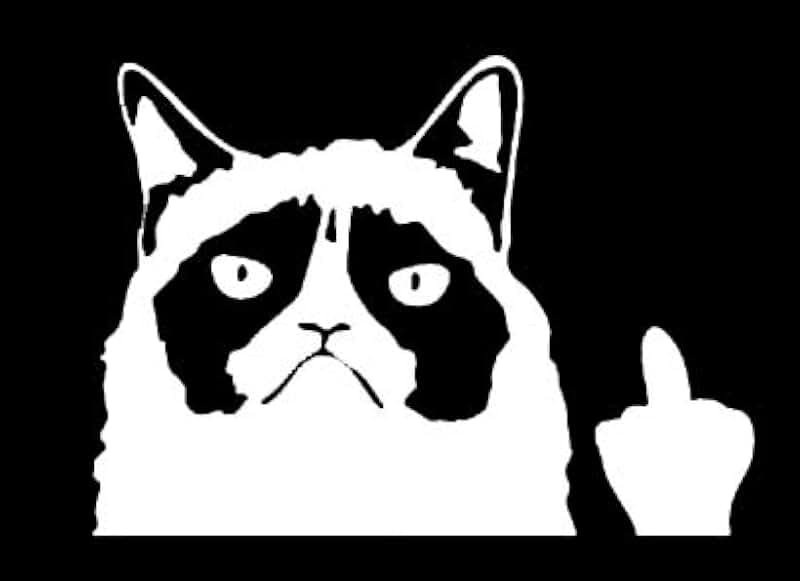 Кошка показывает фак