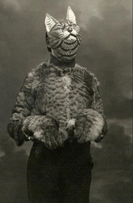 Кот в костюме клоуна