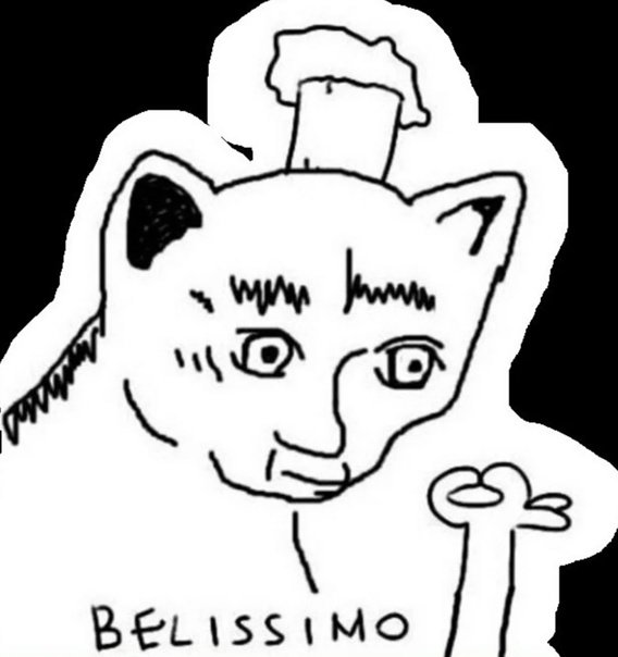 Кот повар Белиссимо