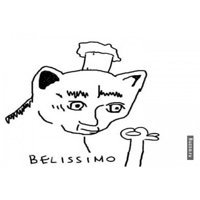 Bellissimo Мем кот