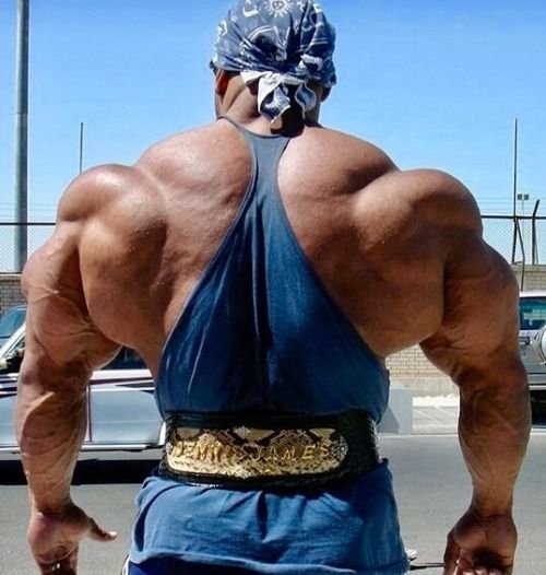 Синтоловые качки монстры