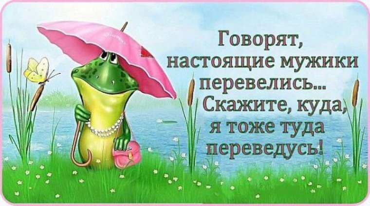 Перевелись мужики