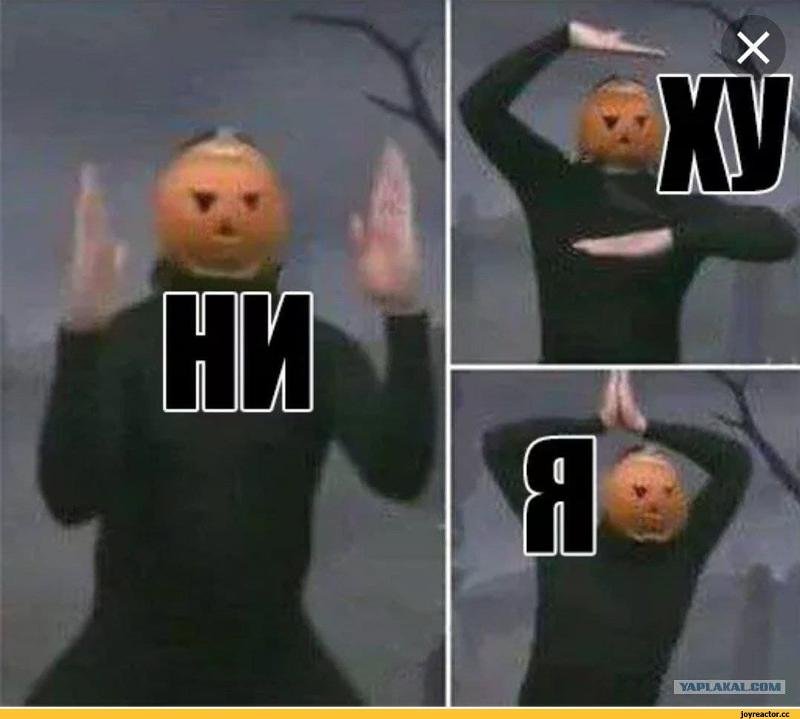 Мем с тыквой на голове