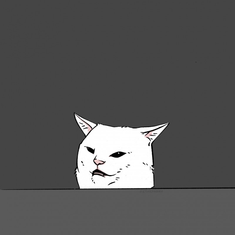 Кот из мема